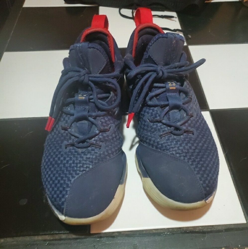 Nike Men's Lebron XIV Low Sneakers